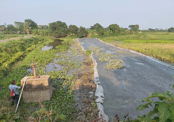 image-here